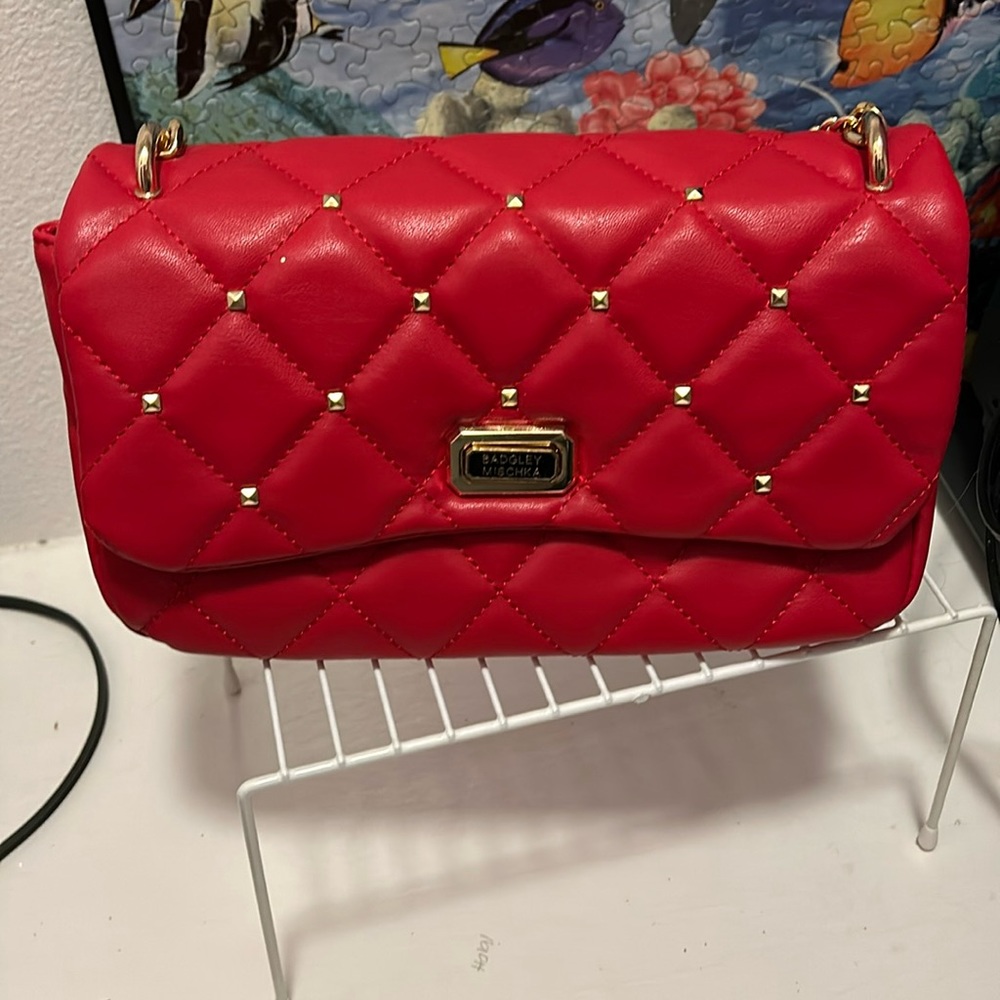 Badgley Mischka purse